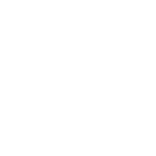 Network & System Auditing