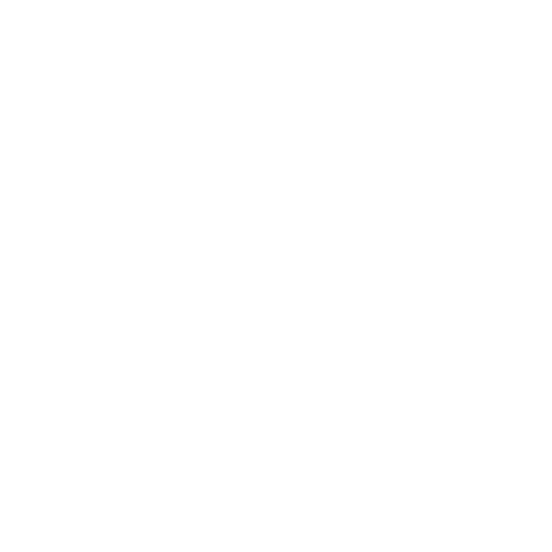 Web Penetration Testing